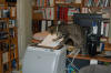 Newletter Printing QA
